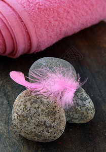石头上的粉色羽毛和背景SPA概念图片