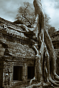 柬埔寨吴哥窟遗址图片