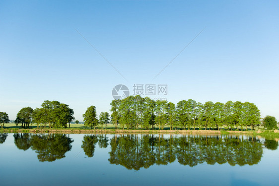 一个乡村小湖和一片绿色森林图片