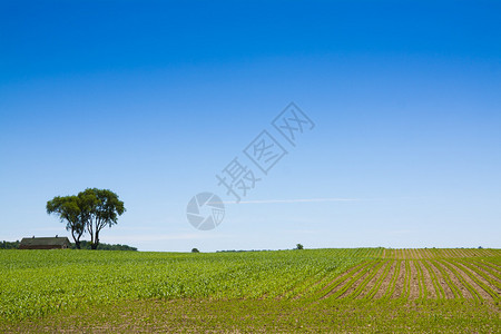 美国乡村景观独树一帜背景