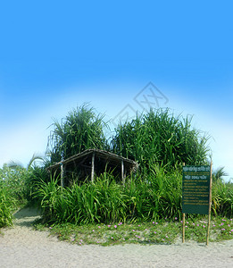 在海边的小竹屋上挂有孟加拉背景图片