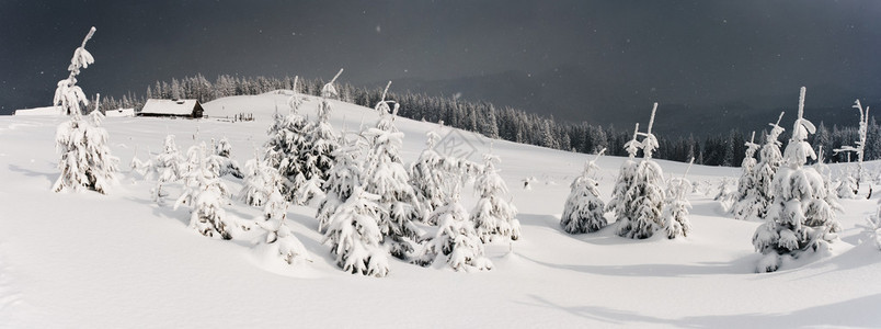 山上覆盖着白霜和雪的树木山屋图片