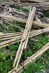 地板上的一束竹秆图片