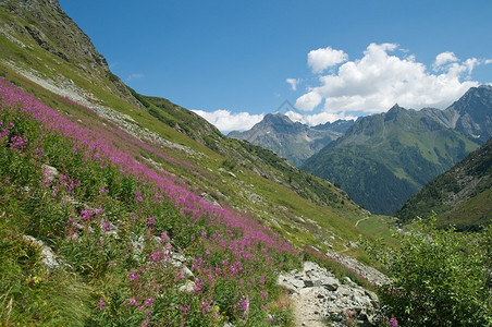 雄伟的高山景观图片