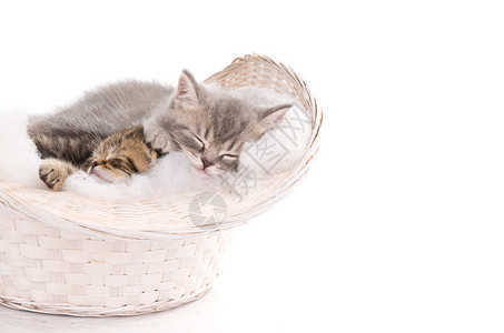 精彩绝伦的篮球赛事回放全程回顾巅峰对决中的每一个高光瞬间