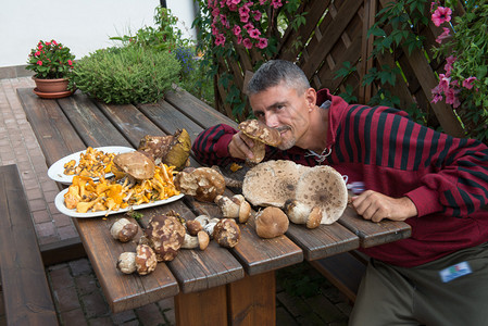男子嗅牛肝菌蘑菇图片