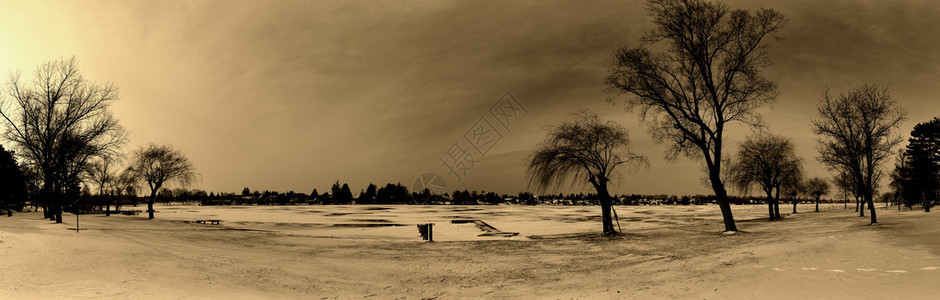 冬季结冰的湖面树木全景图片