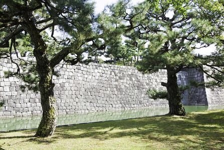 日式本花园在日本新河城图片