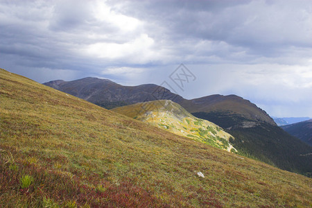 夏末秋初天Cordeliiers山林的黄色和阳光明背景图片