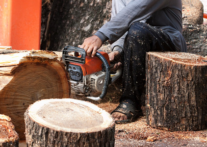 伐木工人用电锯切割树干图片