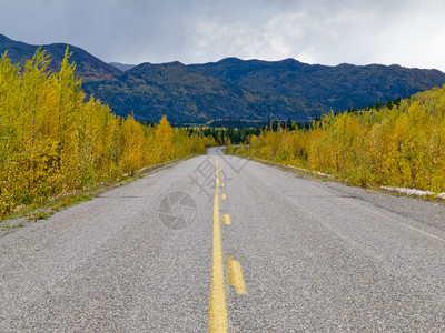 加拿大育空地区中部RobertCampbell公路黄色秋图片