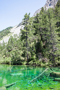 绿湖高山湖因当地海草而带氟色图片