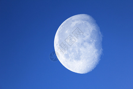 夜蓝天下的大月亮图片