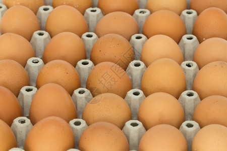 其他鸡蛋中间的黄色鸡蛋图片