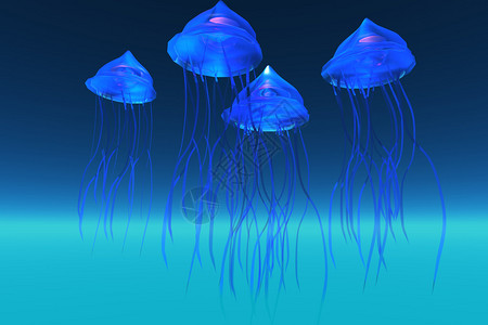 虹彩发光的蓝色水母在海洋中游泳图片