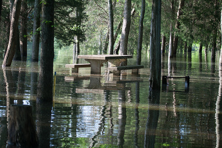 被淹的野餐区图片