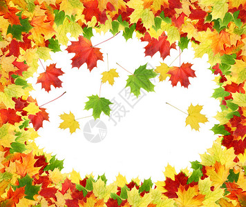 带有彩色秋叶的秋叶框架图片