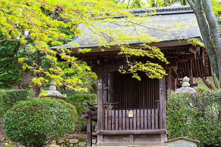 日本神庙的美景供adv或图片