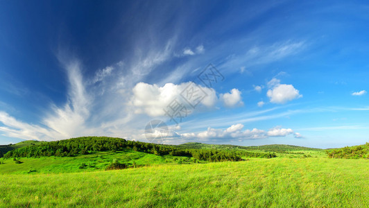 山谷中的田野农业景观图片