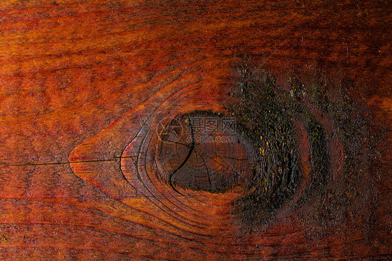 木树板纹理图案年环手选硬木用5图片