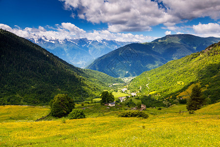 高山草甸的美丽景色图片