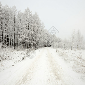 冬天的道路和树上的白霜图片