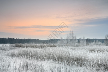 日出时有白霜的冬季景观图片