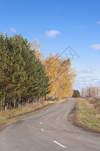 秋季沥青路图片