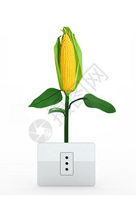 白色背景中玉米加玉米能源插图片