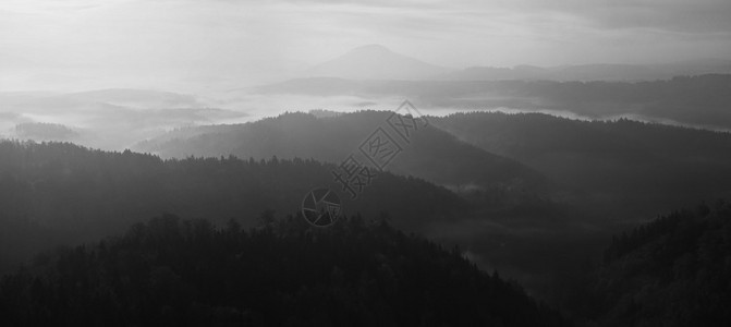 在波希米亚萨克森瑞士美丽的山日出砂岩山峰和小山从有雾的背景中增加第一缕阳图片