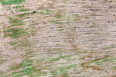五谷在木头的样式图片