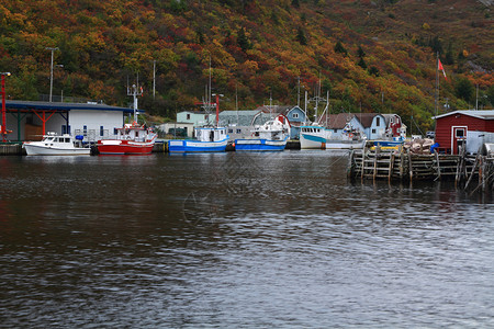 渔船停泊在佩蒂港码头图片