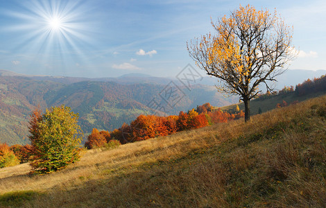 秋天的山地景观图片