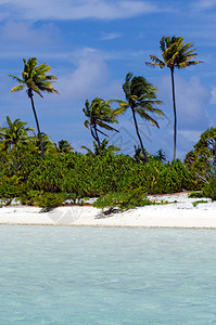 从库克群岛AitutakiLagoon岛的Ma图片