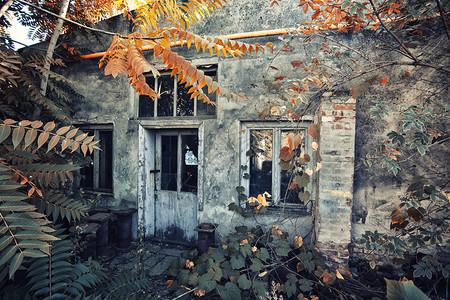 秋时的老花园洋房图片