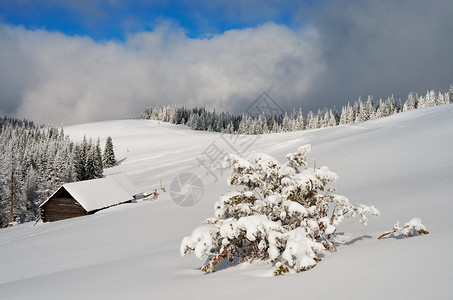 山谷里有新鲜雪的山景牧羊人的小屋在山冬日乌克兰图片