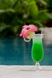 新鲜热带果汁鸡尾酒在伯利兹的游图片