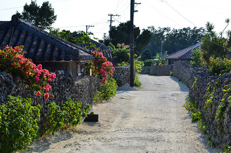 日本热带岛屿竹宗美老图片