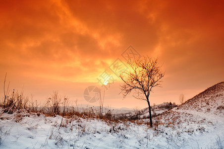 冬天的日落雪地和橙图片