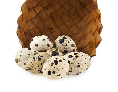 白色背景上的鹌鹑蛋来自系列的图片图片