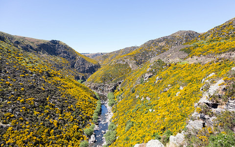 塔耶里峡谷旅游铁路的铁路轨迹沿一条山沟运行图片