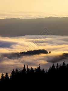 有雾的山风景图片