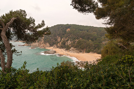 布拉瓦海岸的海湾全景图片