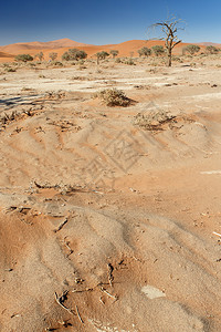纳米比亚非洲纳米布沙漠Sossusv图片