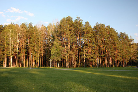立陶宛Druskininka背景图片