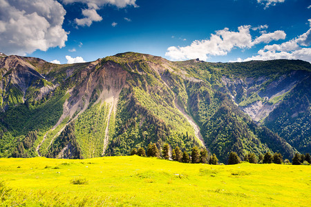 高山草甸的美丽景色图片