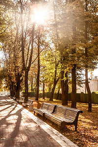 秋天季公园一排长椅的视角图片