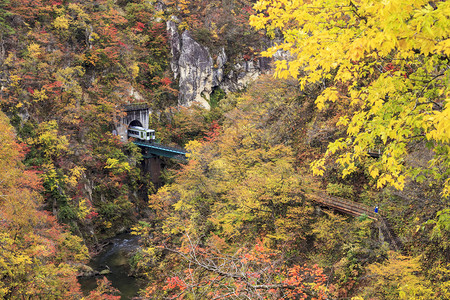 日本NarukoGorge的秋光颜色图片