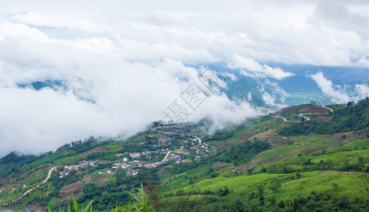 有雾的山风景清早Phutabberk山图片