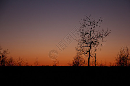 日落冬天俄罗斯莫斯科背景图片